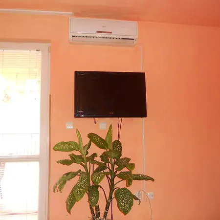 Apartament Stefi *